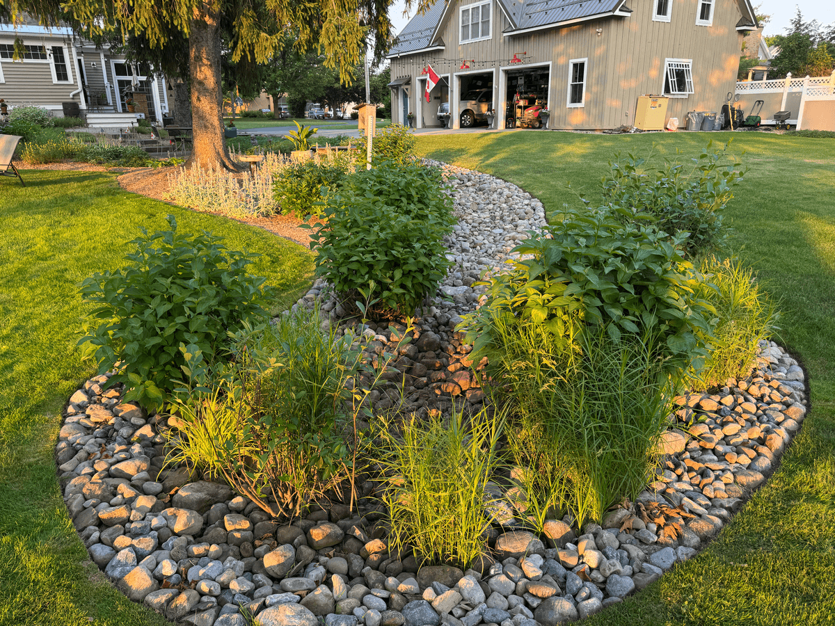 Rain garden