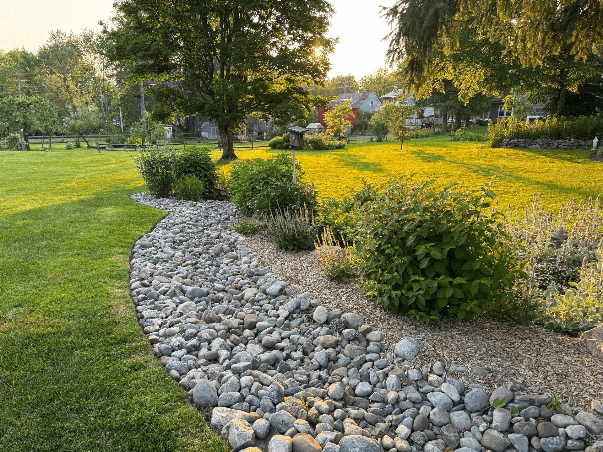 Rain garden installation