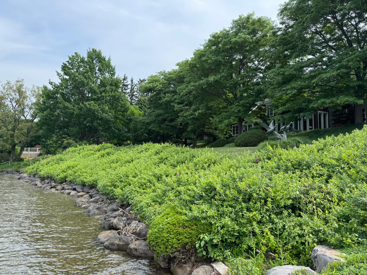 Shoreline restoration