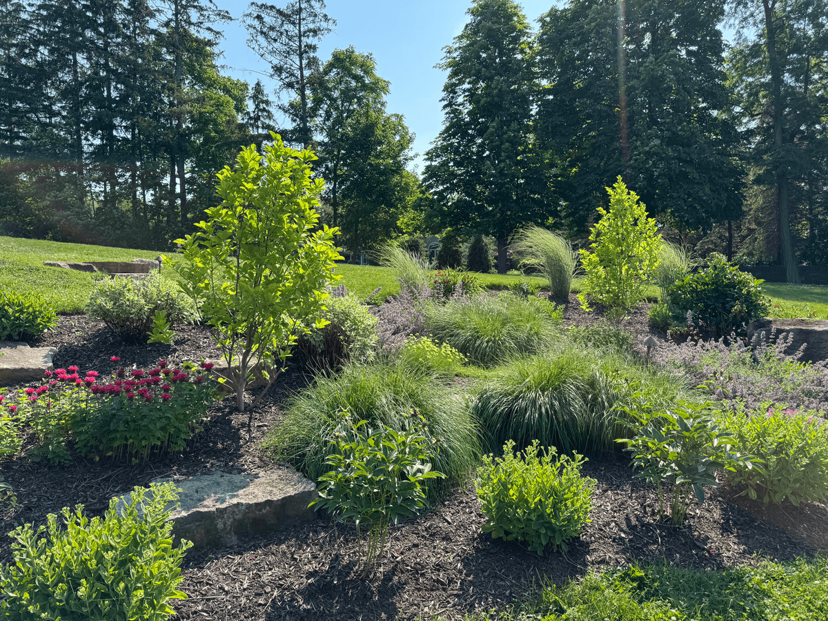 Landscape design expertise