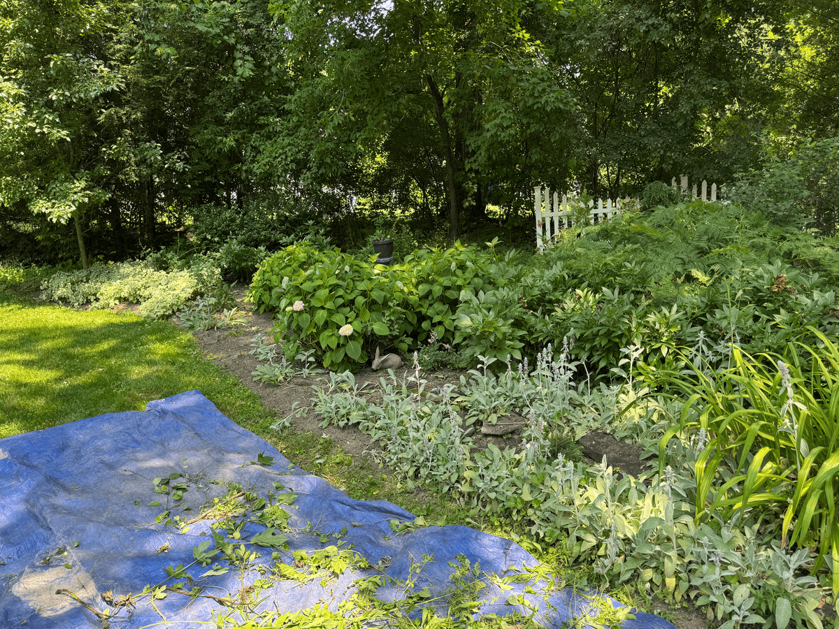 Professional landscape installation