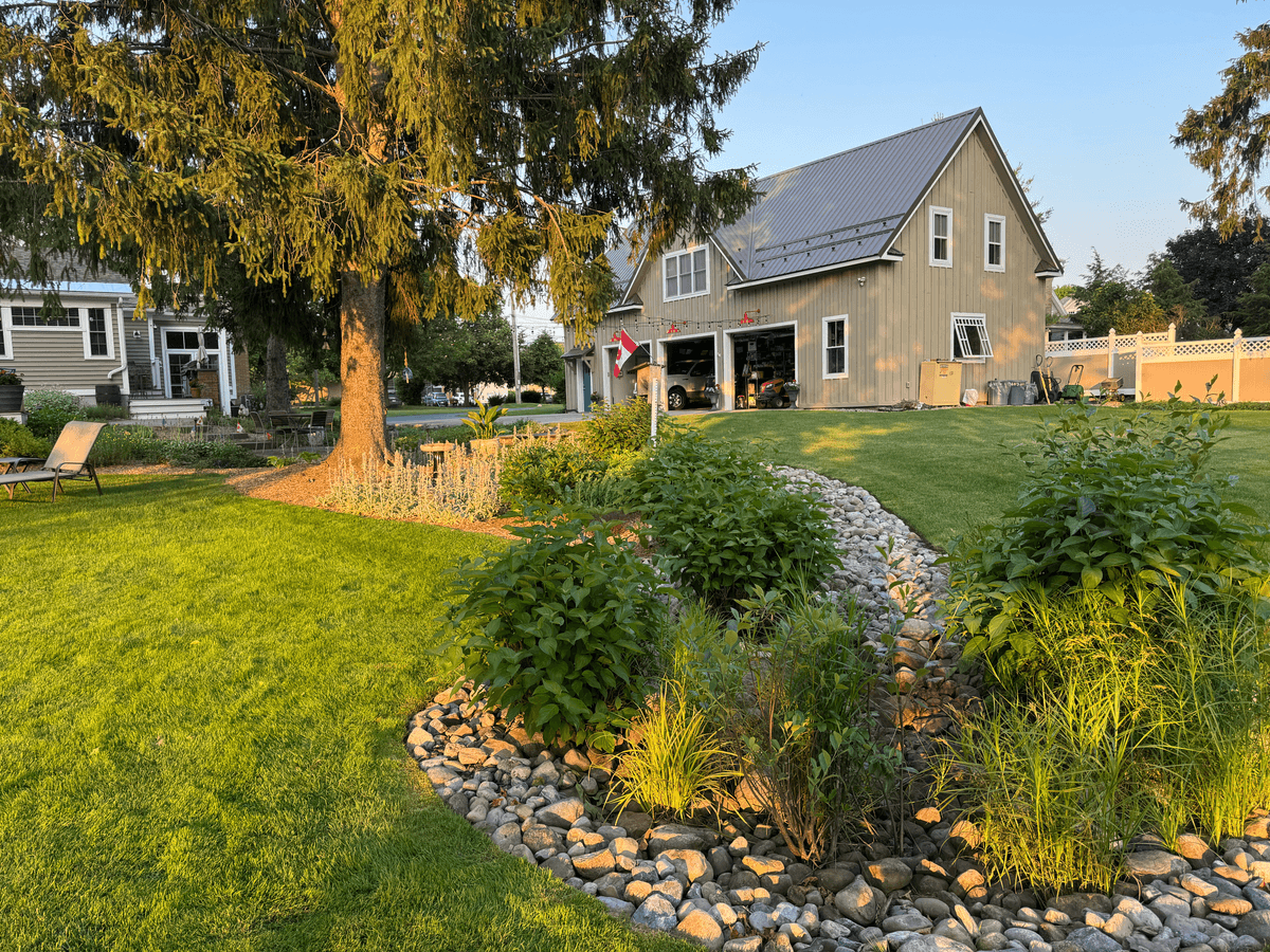 Professional landscape design and transformation project