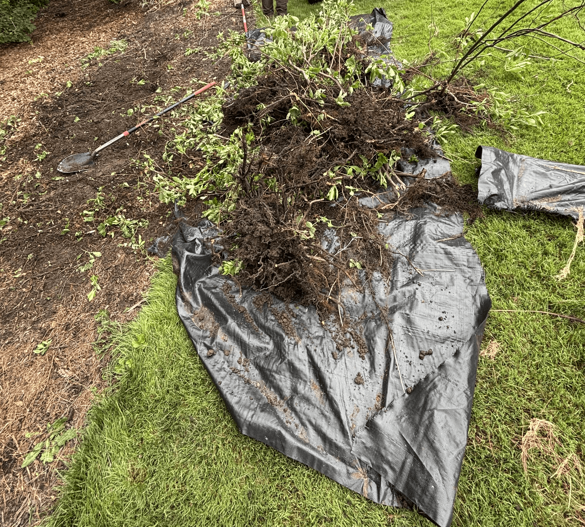 Professional excavation work showcase